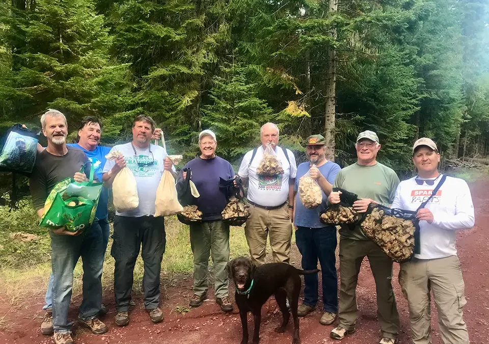 Chanterelle, Beef & Broccoli Stir Fry
