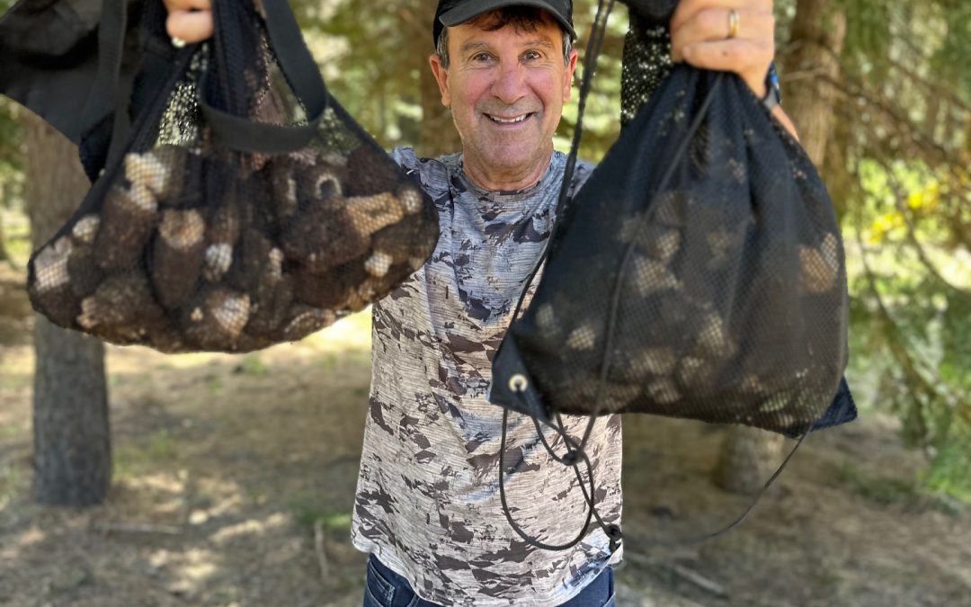 Fried and Thrive Morel Recipe